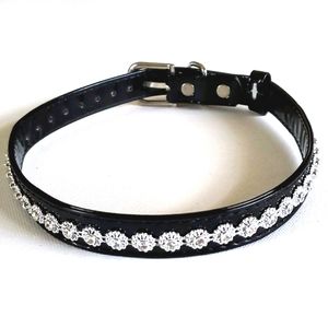 Dog Collar Crystal Flowers Faux Black Patent Leath